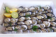 Sydney rock oysters - Boxed By E&C Co.